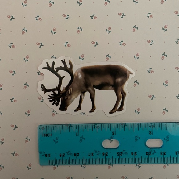 Caribou Sticker - Picture 2 of 2
